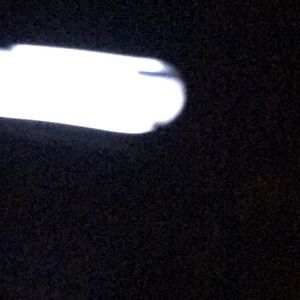 Meet your Posher, Reggie